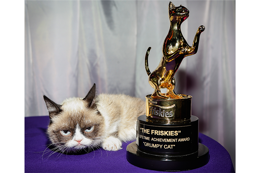 Grumpy Cat made nearly $100 million? Not quite, owner says. 