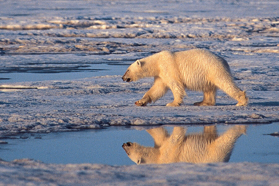 An American Crusade for Wildlife - Member Benefit