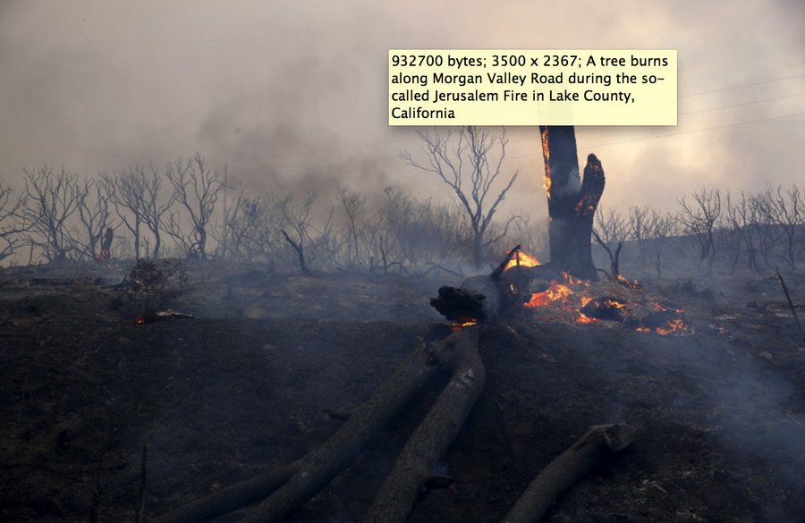 Lower Lake fire 150 people evacuated as wind pushes California