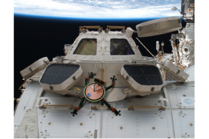 This Gecko-inspired Robot Could Some Day Crawl Along The Space Station ...