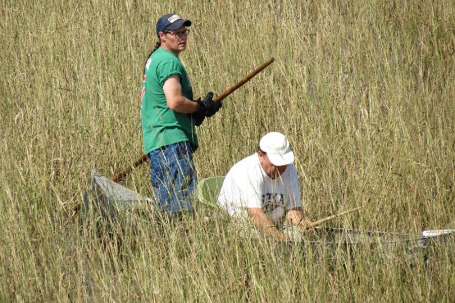 Among US tribes, a movement revives native foods and lands - CSMonitor.com