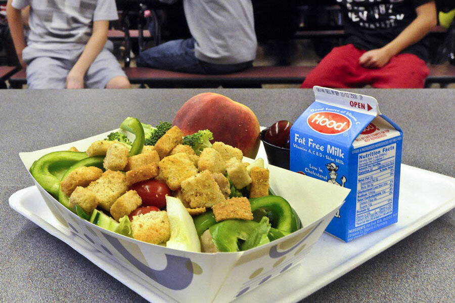 Salad Shakers, USDA - Healthy School Recipes