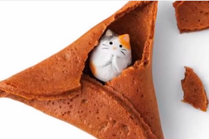 fortune cat rice crackers