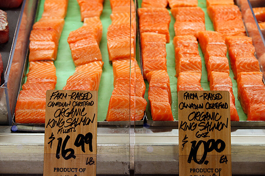 This is not the salmon you're looking for - CSMonitor.com