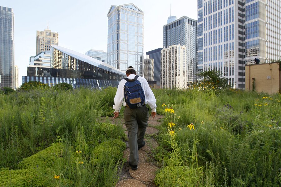 Why small farms may answer big problems - CSMonitor.com