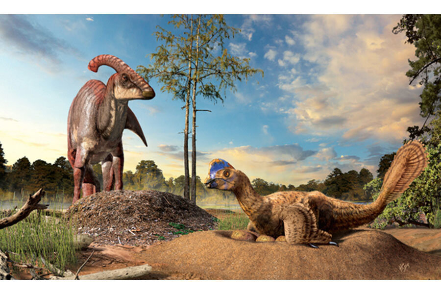 How did dinosaurs build their nests? - CSMonitor.com
