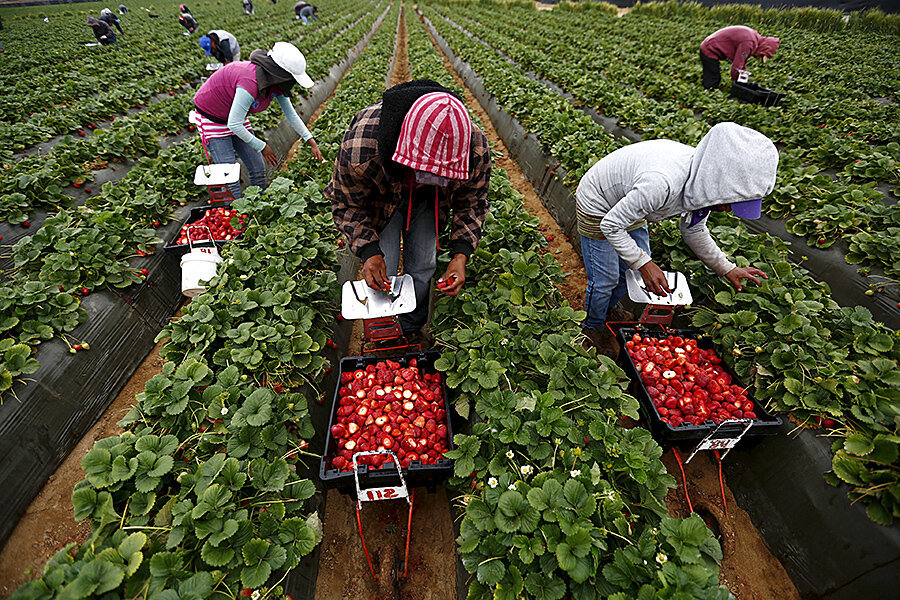 For Mexico's migrant workers, a push for cross-border ...