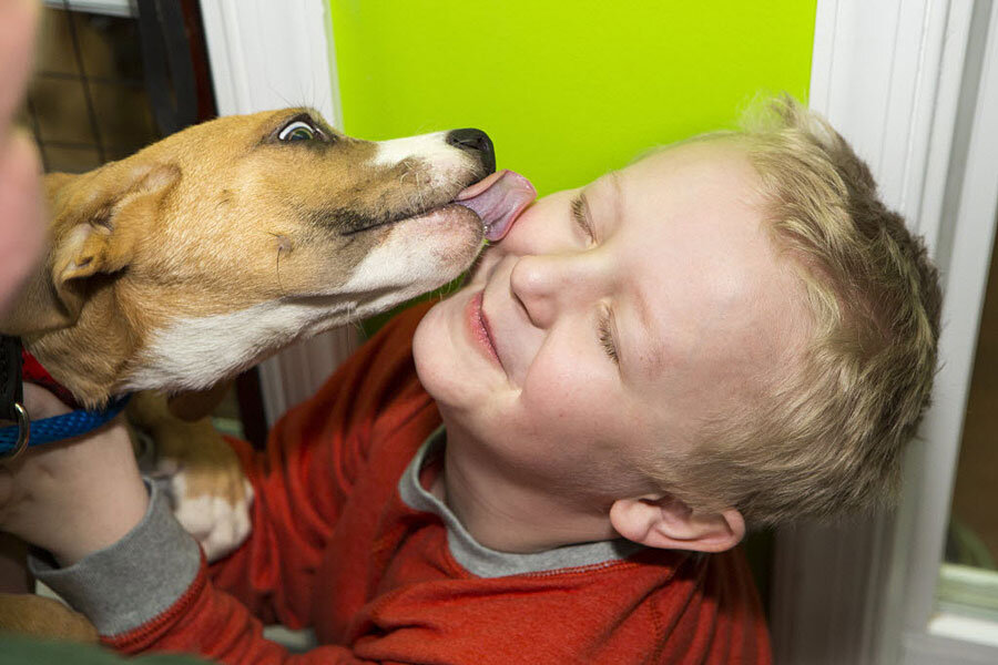 How did Fido come to be man's best friend? A dog's tale. How did Fido come to be man's best friend? A dog's tale.