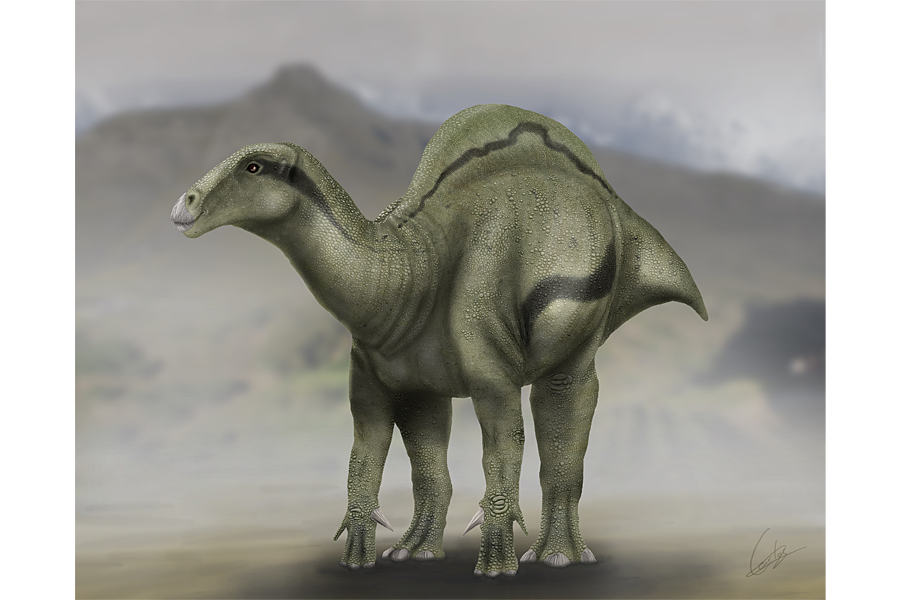 Bizarre new dinosaur species sported a mysterious 'sail' on its back - CSMonitor.com