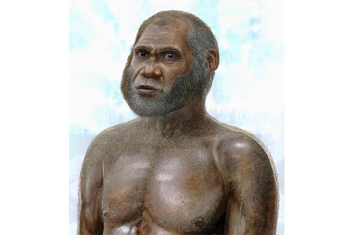 954351_1_1217-femur-ancient-