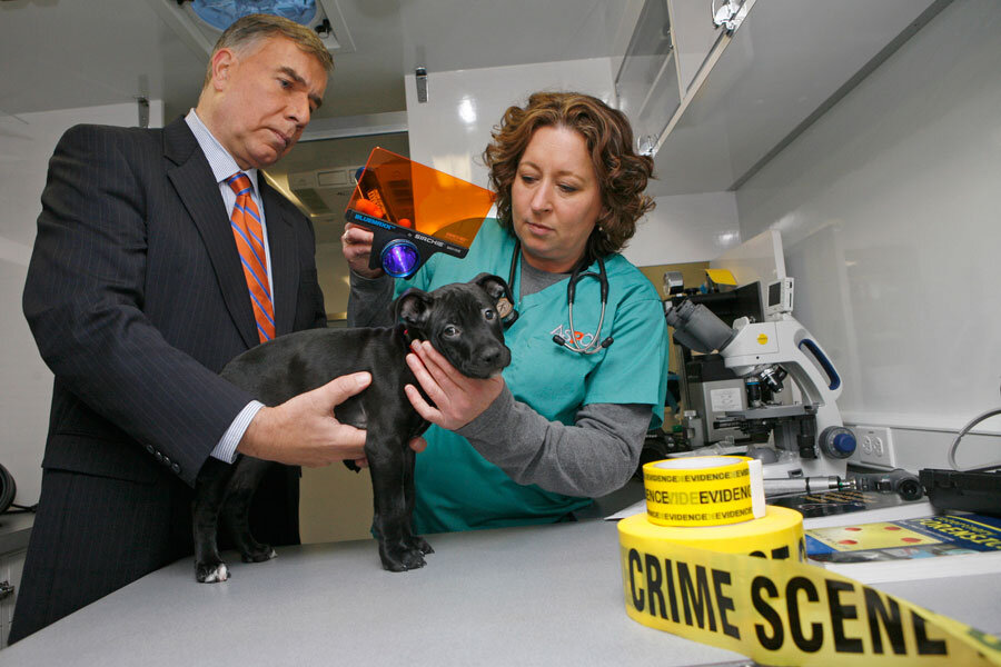 Why the FBI is now tracking animal cruelty 