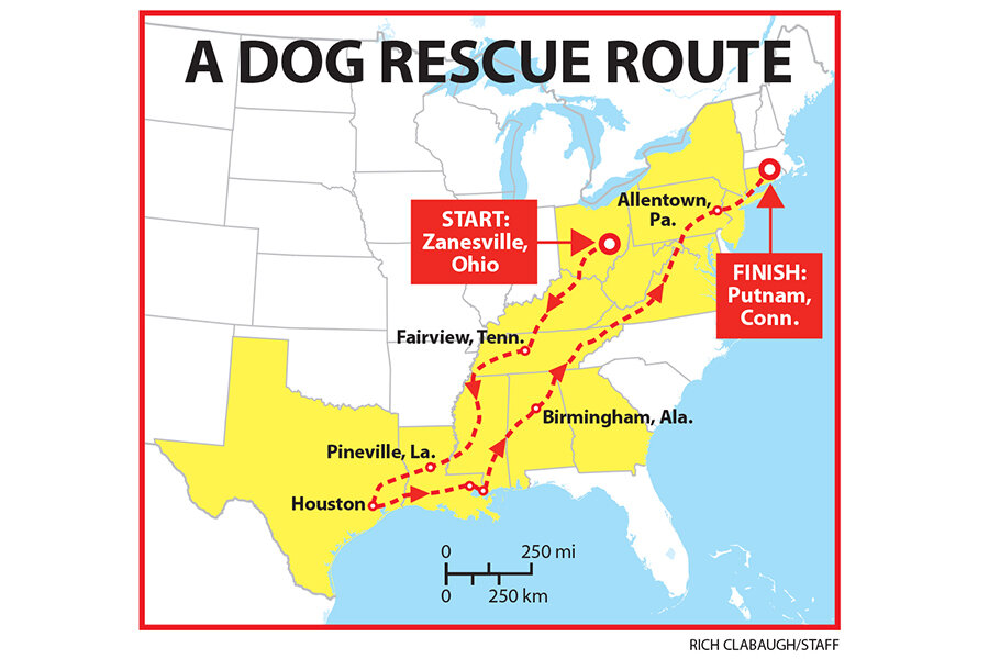 The dog rescuer - CSMonitor.com