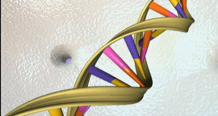 Britain wades into controversial waters with approval of genetic experiment