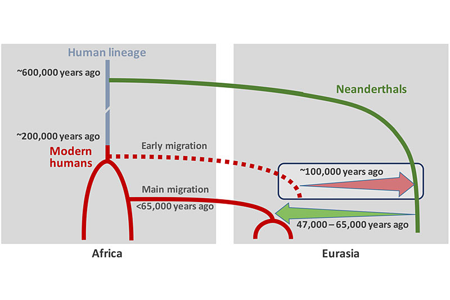 Neanderthals And Modern Humans Mated 50 000 Years Earlier Than We Thought Scientists Say Csmonitor Com