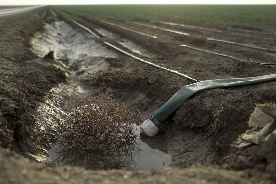 Flood prevention, drainage and irrigation pump, farmland