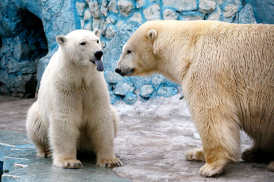 Photos of the Day 03/29 - CSMonitor.com