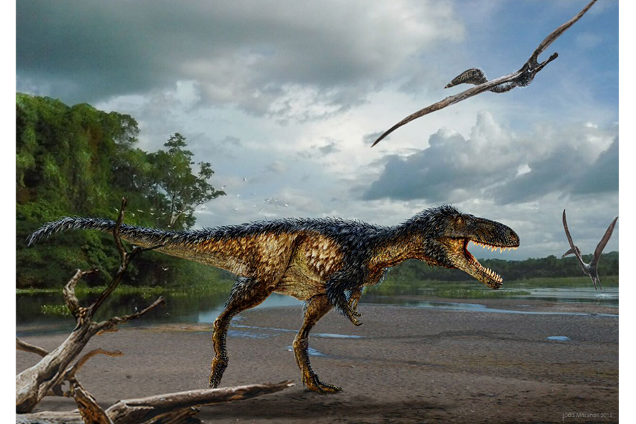 Tyrannosaurus rex may have been three separate species, say scientists