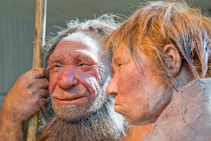 Where do Neanderthals come from? Oldest DNA reveals clues. - CSMonitor.com