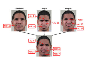 Contempt Face Expression Bmp dongle