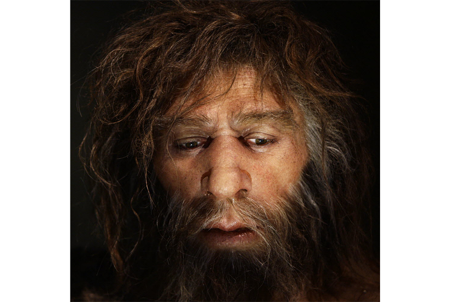 Researchers find no trace of Neanderthal Y-chromosomes in modern humans -  
