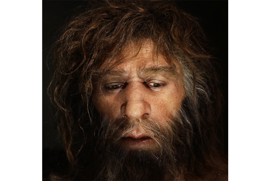 homo neanderthalensis y homo sapiens