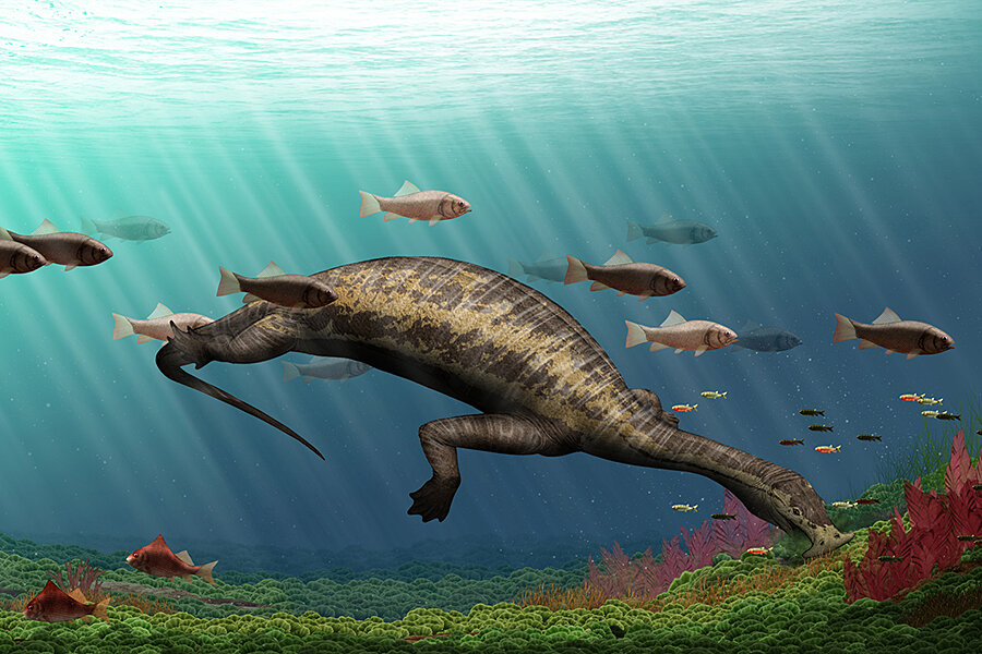 Was this hammerhead herbivore the ocean's first vegetarian reptile? -  