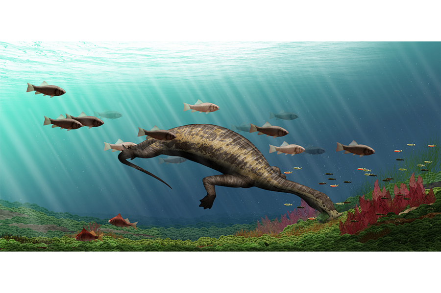 Ancient 'hammerhead' reptile had this weird way of eating plants -  