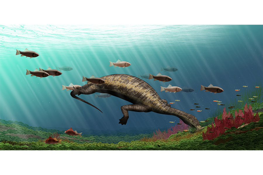 Ancient 'hammerhead' reptile had this weird way of eating plants - Ancient 'hammerhead' reptile had this weird way of eating plants -