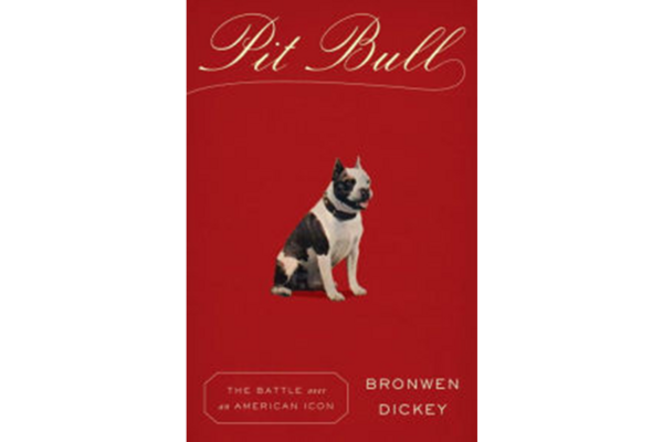 Pit Bull Aims To Tell The Story Of A Maligned Breed