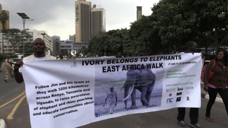 South Sudan ivory seizure highlights Africa's 'ongoing poaching crisis ...