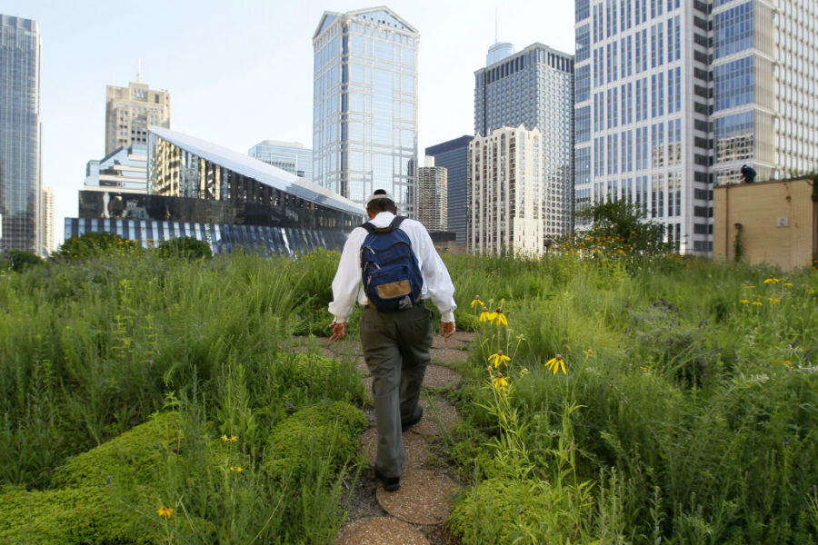 Urban agriculture, agroecology, school and community gardens