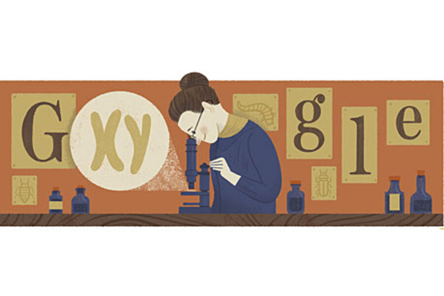 nettie stevens biology pioneer a role model for female scientists