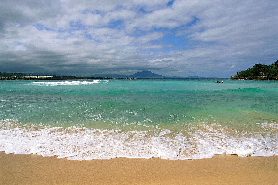 Sea Wonder: Sand Dollar  National Marine Sanctuary Foundation