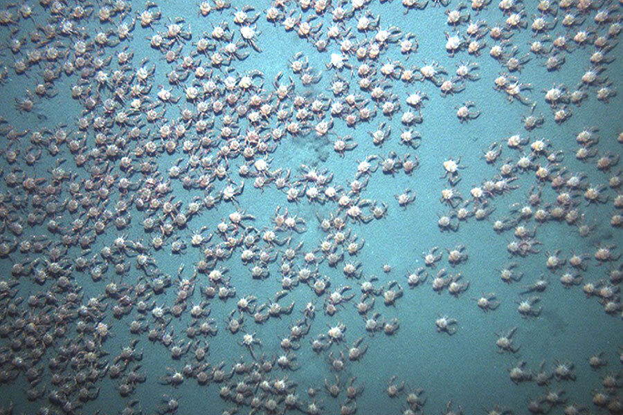 Into the darkness mysteries of land and sea