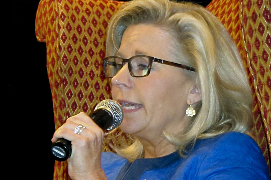 Liz Cheney Wins Primary Moves Closer To Becoming Wyoming Rep In Congress Csmonitor Com