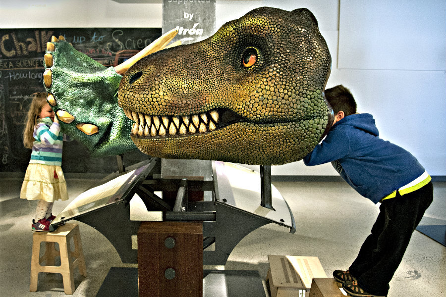 What makes rare 'Tufts-Love' T. rex a 'must-see' dinosaur? 