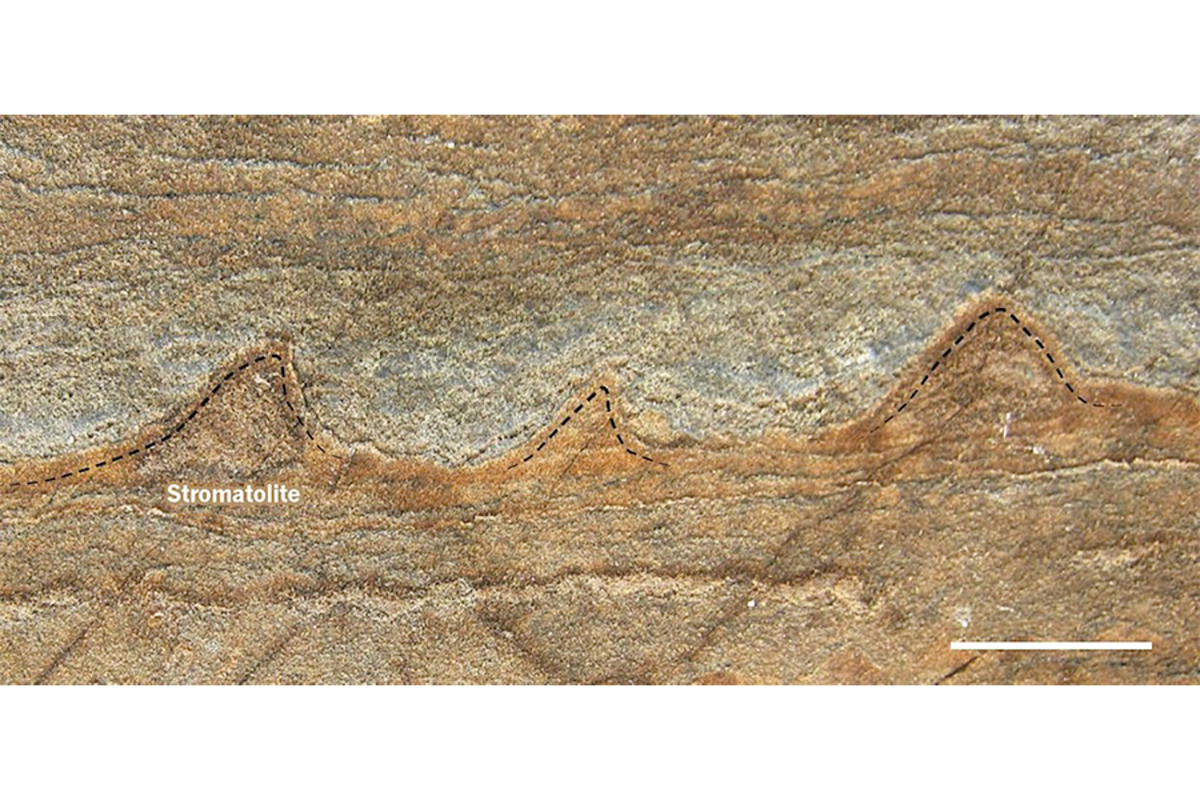Could these be the world's oldest fossils? - CSMonitor.com