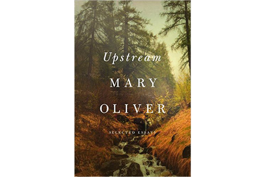 when death comes mary oliver analysis