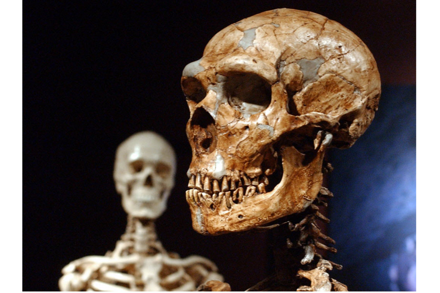 Could Neanderthals Hear The Same Sounds As Humans Csmonitor Com