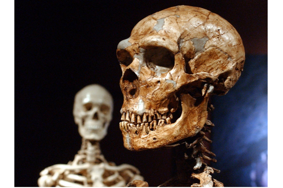 Could Neanderthals Hear The Same Sounds As Humans Csmonitor Com Could Neanderthals Hear The Same Sounds As Humans Csmonitor Com