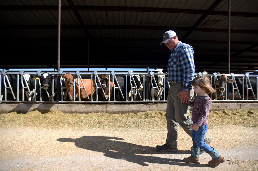 Why dairy farmers dumped 43 million gallons of milk this year