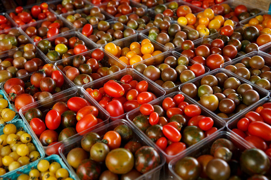 Science explains why tomatoes don't belong in the fridge