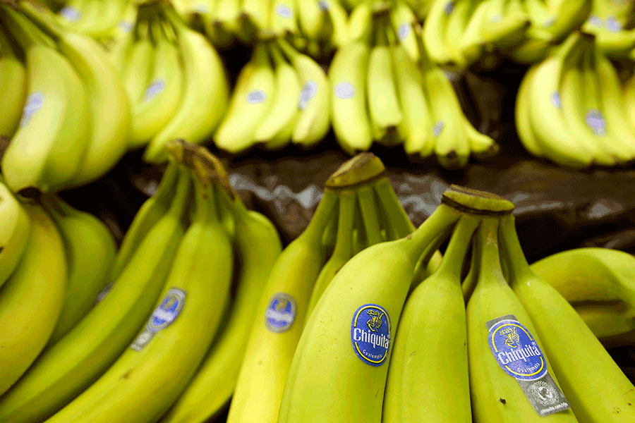 Yes, we might have no bananas. Can science prevent the fruit's