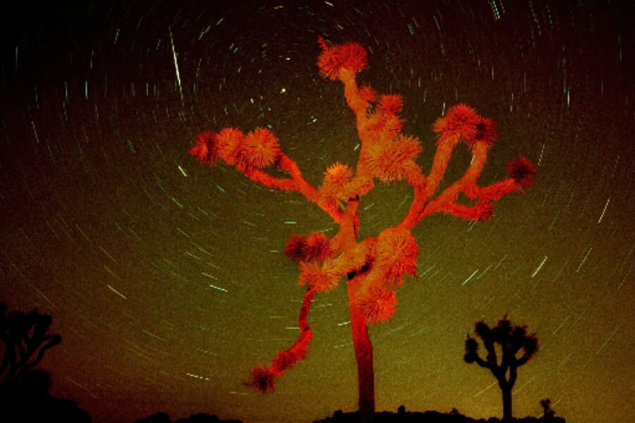 How to watch the spectacular Leonid meteor shower tonight