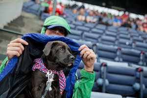 Puppies invade Nationals Park, 10/01/2016