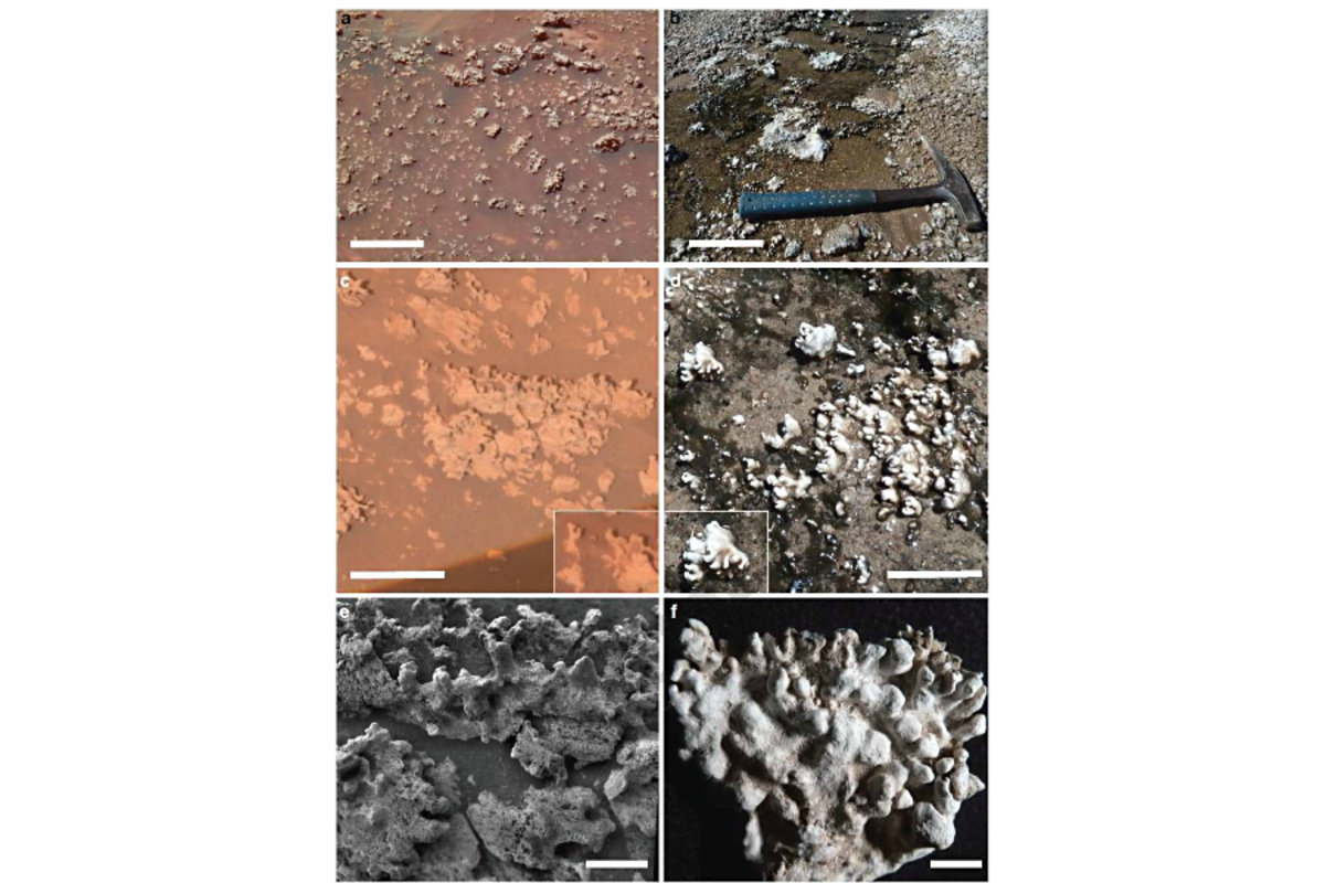 Voici à Quoi Ressemblera La Vie Sur Mars, Selon ChatGPT
