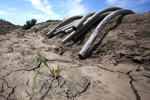 Thanksgiving 2050: To Feed The World We Have To Stop Destroying Our ...