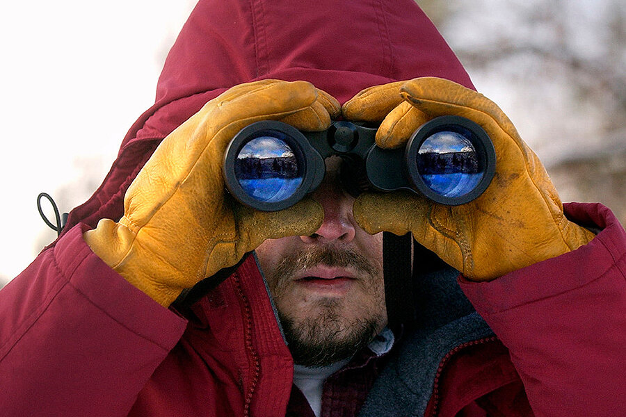 Christmas Bird Count 2022 Spokane What's A Christmas Bird Count? - Csmonitor.com