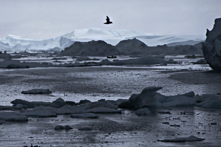 The Big Melt: Arctic receives failing grades on NOAA's annual report ...