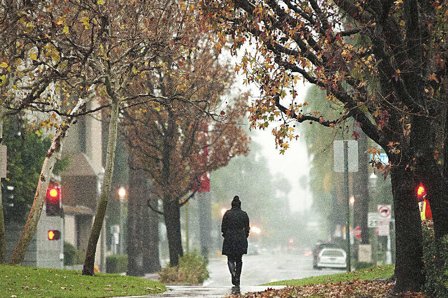 California gets rains, but drought still means fewer lawns in future ...